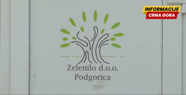 Društvo