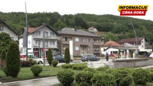 Demokrate Andrijevica: Usvojene inicijative o finansijskoj podršci porodiljama i podizanju spomenika Amfilohiju