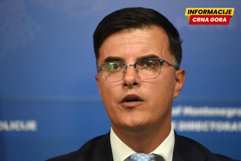Šaranović: Situacija stabilna, pod kontrolom požari u šest opština