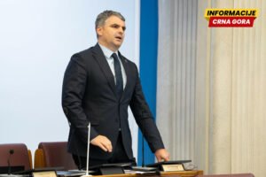 Čapuni: Evropski put se ne može graditi preko mehanizama koji slabe lokalne samouprave