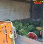 U Budvi uništeno više od 500 kilograma nelegalno prodavanih lubenica