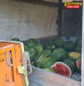 U Budvi uništeno više od 500 kilograma nelegalno prodavanih lubenica