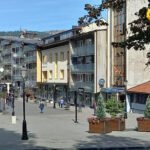 Pljevlja: Pare od šuma “napunile” opštinsku kasu
