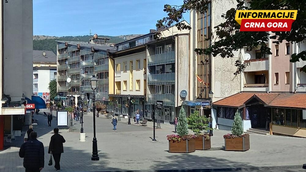 Pljevlja: Pare od šuma "napunile" opštinsku kasu