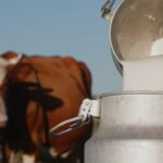 Stižu stroža pravila za proizvođače mlijeka: Nakon preporuka EK spreman novi paket mjera za farmere