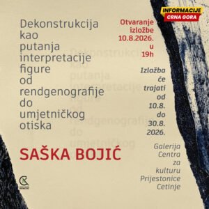 Rendgenski snimak kao polazište za umjetničko istraživanje