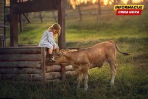 Štala kao spas: Zašto su seoska djeca zdravija