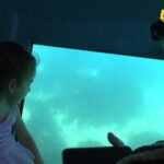 Podmornica iz Petrovca vodi turiste u podvodni svijet Katiča