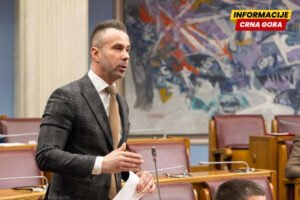 Uslovna kazna zbog prijetnje Bogdanoviću: Nikšićanin osuđen za komentar ispod objave poslanika Demokrata