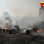 Turisti bježe pred požarom koji se širi ka grčkom ljetovalištu