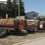 U Nikšiću metar cijepanih pitomih drva 95, a bukovih 85 eura