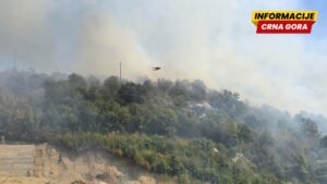 CEDIS: Ekipe na terenu u područjima zahvaćenim požarima