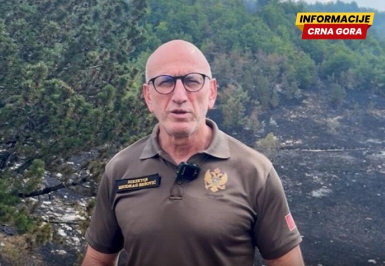 Bešović: Sve vazduhoplovne snage za gašenje požara upućene u Ulcinj, gdje se stanje pogoršalo zbog jakog vjetra