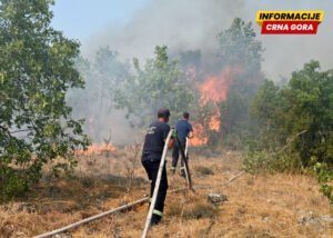Šćepanović: Noć za vatrogasce je bila mnogo mirnija, situacija u Herceg Novom i Ulcinju stabilnija nego prethodnih dana