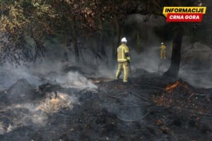 Kiša u Belgiji pomogla vatrogascima koji pokušavaju da stave pod kontrolu najveći požar u istoriji zemlje