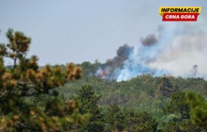 MUP: Srbija prihvatila pomoć EU u borbi protiv požara u Deliblatskoj peščari i eventualno u drugim djelovima zemlje