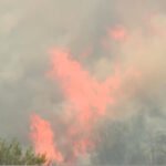 U Crnoj Gori je izgorjelo gotovo 12 hiljada hektara: Udio opožarene teritorije najveći u Evropi