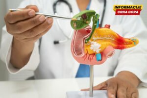 Belgijski naučnici otkrili da ćelije raka koriste hranljive materije prisutne u jetri kako bi zaobišle imuni sistem