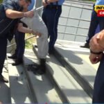 Poslanici Alijanse bacili ugalj ispred Vlade Kosova, izrazili nezadovoljstvo energetskom situacijom