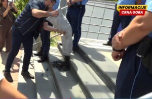 Poslanici Alijanse bacili ugalj ispred Vlade Kosova, izrazili nezadovoljstvo energetskom situacijom