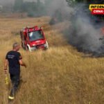 Vatra se približava kućama u Katunskoj nahiji, apel vlasnicima da pomognu čišćenjem zaraslog rastinja