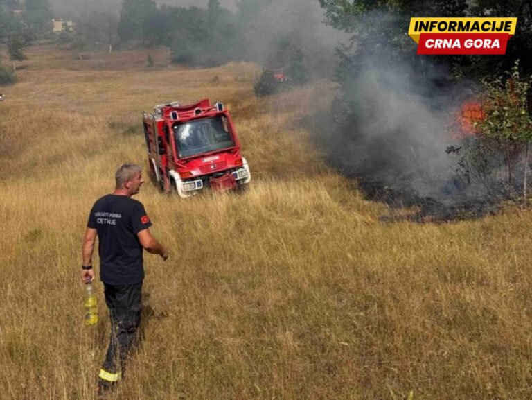 Vatra se približava kućama u Katunskoj nahiji, apel vlasnicima da pomognu čišćenjem zaraslog rastinja