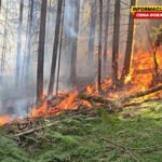 Bijelo Polje: Buknuo veliki požar na Stožeru