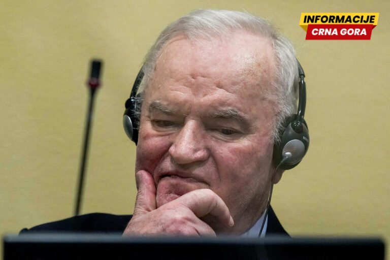 Grupa NVO i građanski aktivisti: Institucije ne smiju ćutati na veličanje Ratka Mladića