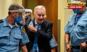 Mehanizam: U trenutku smrti, Mladić čekao prebacivanje u jednu državu radi izvršenja preostalog dijela kazne