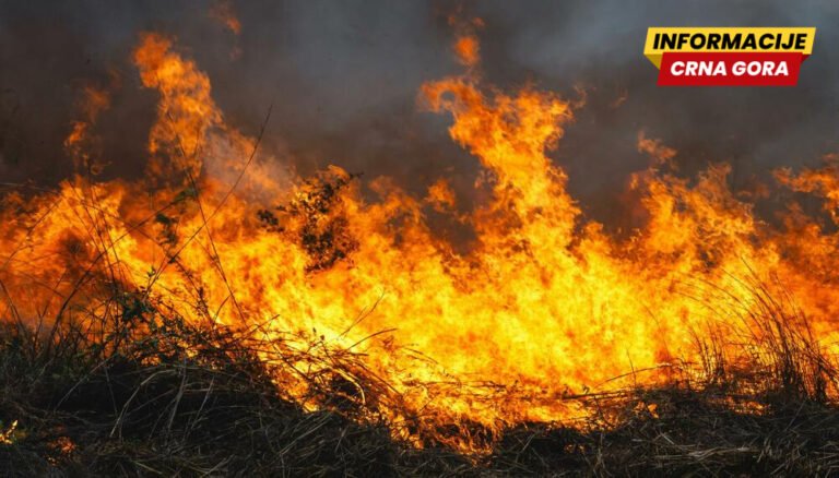 Požari širom Crne Gore: MUP i VCG izbacili 190 tona vode, aktivna brojna žarišta