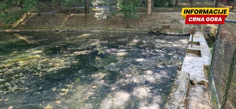 SRK "Lipljen": Breznica ispod biološkog minimuma, ugroženi biodiverzitet i mrestilište potočne pastrmke