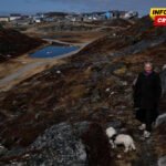 Prisilna kontracepcija na Grenlandu: Kršenje prava, ali ne i dokazani genocid