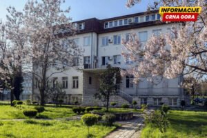 Gogić dobio samo jedan glas: Vijeće Istorijskog instituta UCG nije podržalo jedinog kandidata za direktora