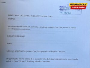 Grupa NVO podnijela krivične prijave protiv Kneževića i Metodija zbog izjava o Mladiću