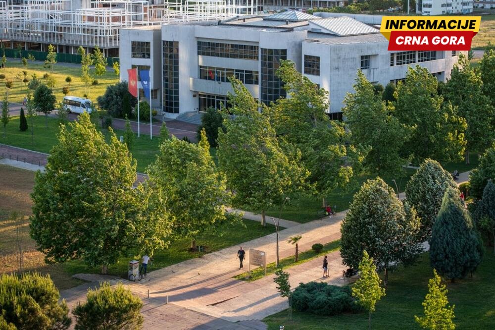 Senat UCG: Izbor rektora nije izbor pojedinca, već odluka o pravcu u kojem će se Univerzitet razvijati