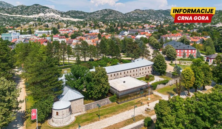 Društvo