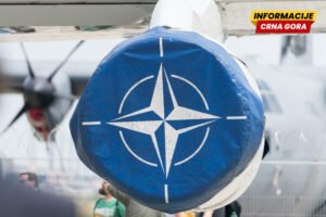 Vitaker: Članice NATO-a ne treba da tolerišu hibridne napade