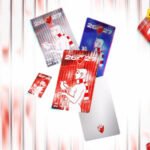 Zvezda u novu fazu razvoja dobija ogromnu podršku navijača