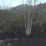 Poslije 20 dana vatre Bijele Poljane postaju crne: Nikšićki i cetinjski vatrogasci danonoćno brane objekte
