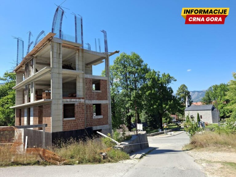 Društvo