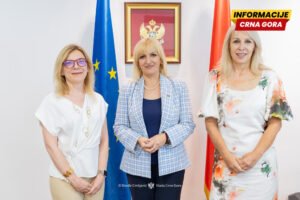 Borovinić Bojović: Telemedicinom do dostupnije zdravstvene zaštite u udaljenim područjima