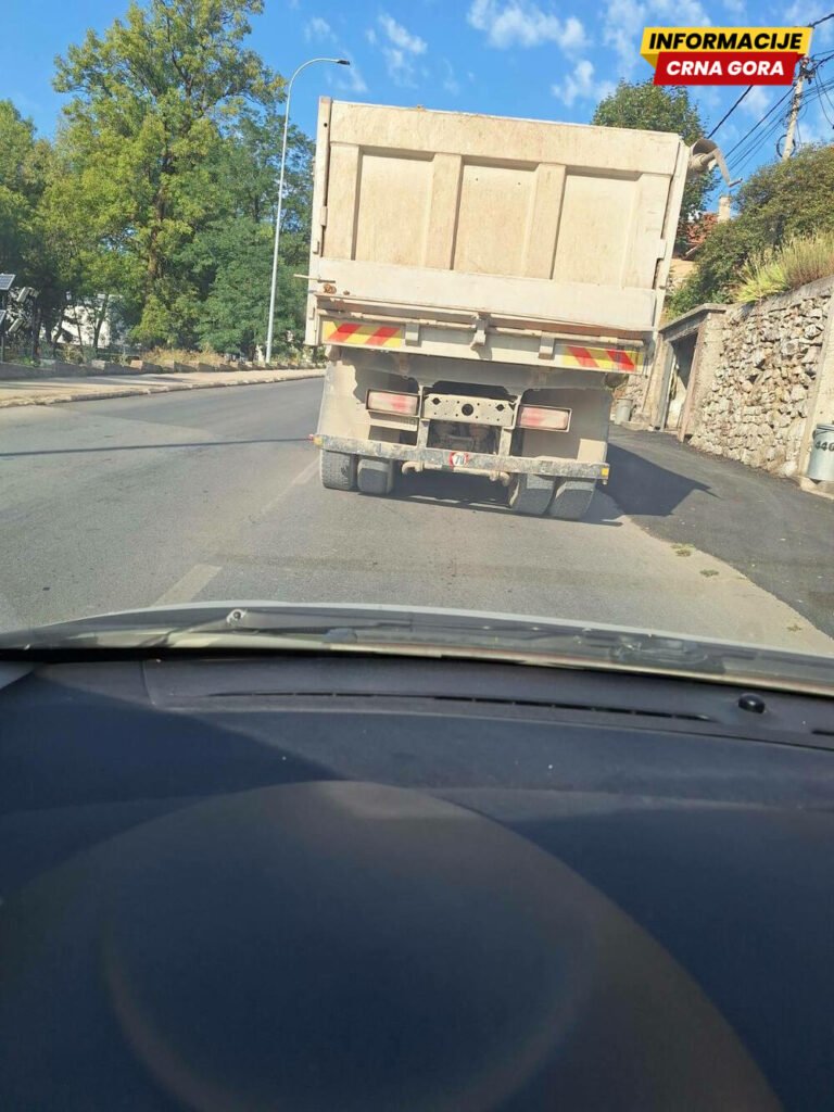 Društvo