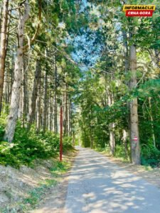 Gradnja i sječa, dok se čeka zaštita: Kolašinska park-šuma Dulovine na udaru