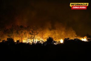 Šumski požari u više djelova Turske oko Antalije, evakuisano nekoliko stotina ljudi