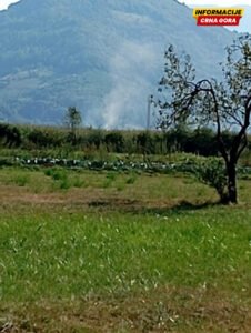 Bijelo Polje: Kuće i njive zasute prašinom – Sirovina iz sanitarne sječe uzrok pojave koja je zabrinula građane