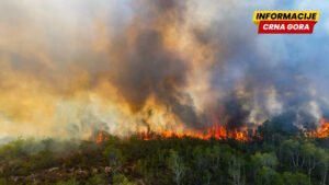 Više šumskih požara na području Pljevalja: U Čavnju najteža situacija