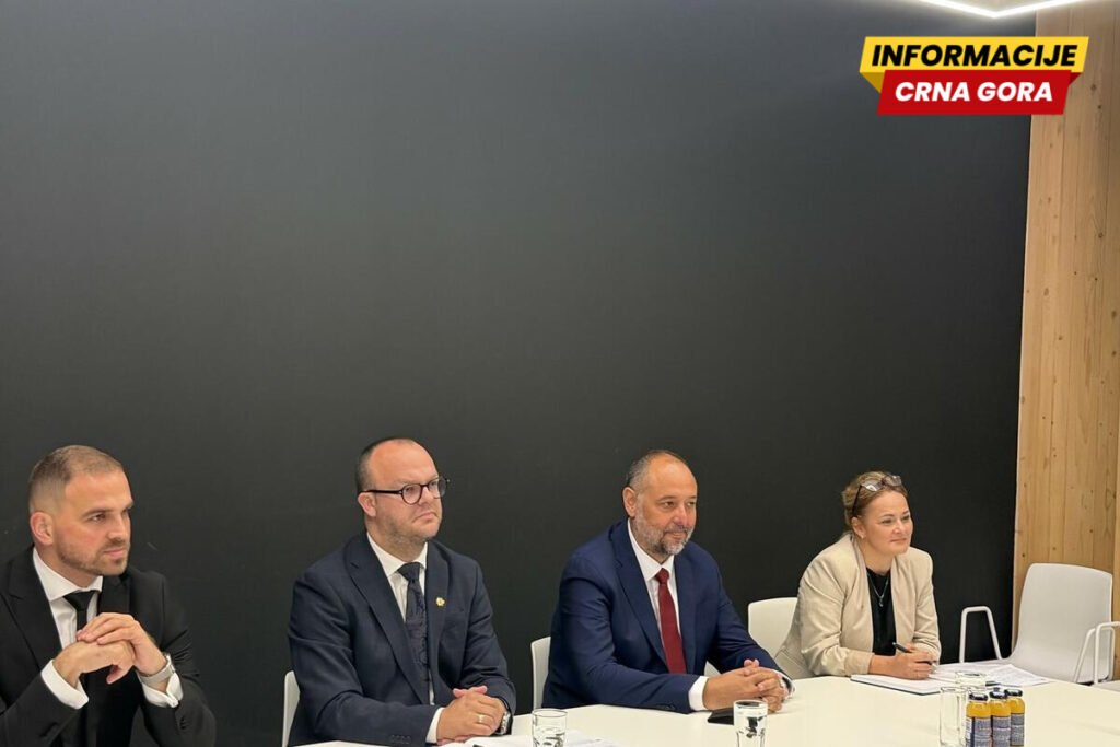 Ćulafić sa DG CLIMA o primjeni klimatskog sistema