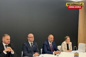 Ćulafić sa DG CLIMA o primjeni klimatskog sistema