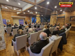 DPS Kolašin o imenovanju Martinovića u CGES-u