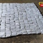 Granična policija kod Skadarskog jezera zaplijenila 185,5 kg duvana